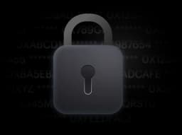 Privacy shield protecting strategy execution details